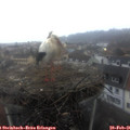 08_15-nest.jpg