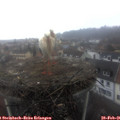 08_25-nest.jpg