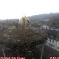 08_35-nest.jpg