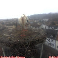 08_40-nest.jpg