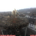 08_50-nest.jpg