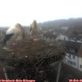 09_05-nest.jpg