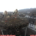 09_40-nest.jpg