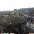 09_55-nest.jpg