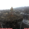 10_00-nest.jpg