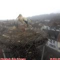 10_05-nest.jpg