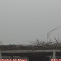 10_15-mast.jpg