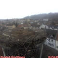10_15-nest.jpg