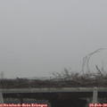 10_25-mast.jpg