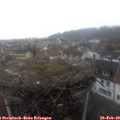 10_25-nest.jpg