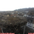 10_40-nest.jpg