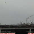 10_45-mast.jpg