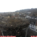 10_45-nest.jpg