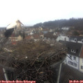 11_15-nest.jpg