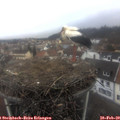 11_35-nest.jpg