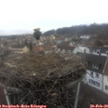 11_40-nest.jpg