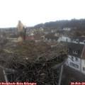 11_55-nest.jpg