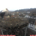 12_05-nest.jpg