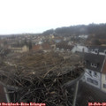 12_30-nest.jpg