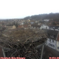 12_40-nest.jpg