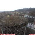 12_45-nest.jpg
