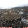 12_55-nest.jpg