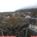 13_00-nest.jpg