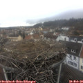13_05-nest.jpg