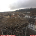 13_10-nest.jpg