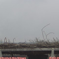 13_35-mast.jpg