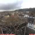 13_35-nest.jpg