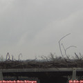 13_40-mast.jpg