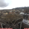 13_40-nest.jpg