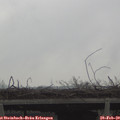 13_45-mast.jpg