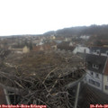 13_45-nest.jpg
