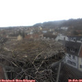 13_55-nest.jpg