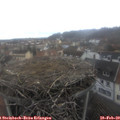 14_00-nest.jpg