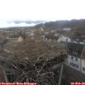 14_05-nest.jpg