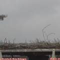 14_10-mast.jpg