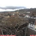 14_10-nest.jpg