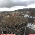 14_15-nest.jpg