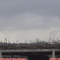 14_30-mast.jpg