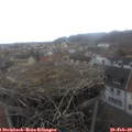 14_30-nest.jpg