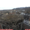 14_35-nest.jpg