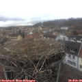 14_45-nest.jpg