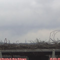 14_55-mast.jpg