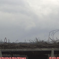 15_05-mast.jpg
