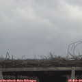 15_10-mast.jpg
