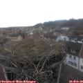 15_45-nest.jpg