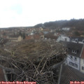 15_50-nest.jpg